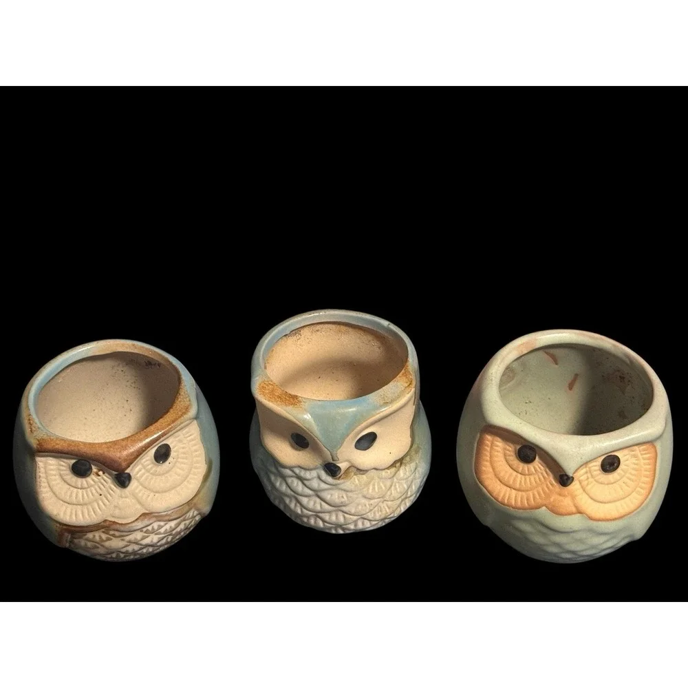 Owl 3 Piece Mini Planter Pots, Ceramic Succulent Air Plant with Wood Under Plate